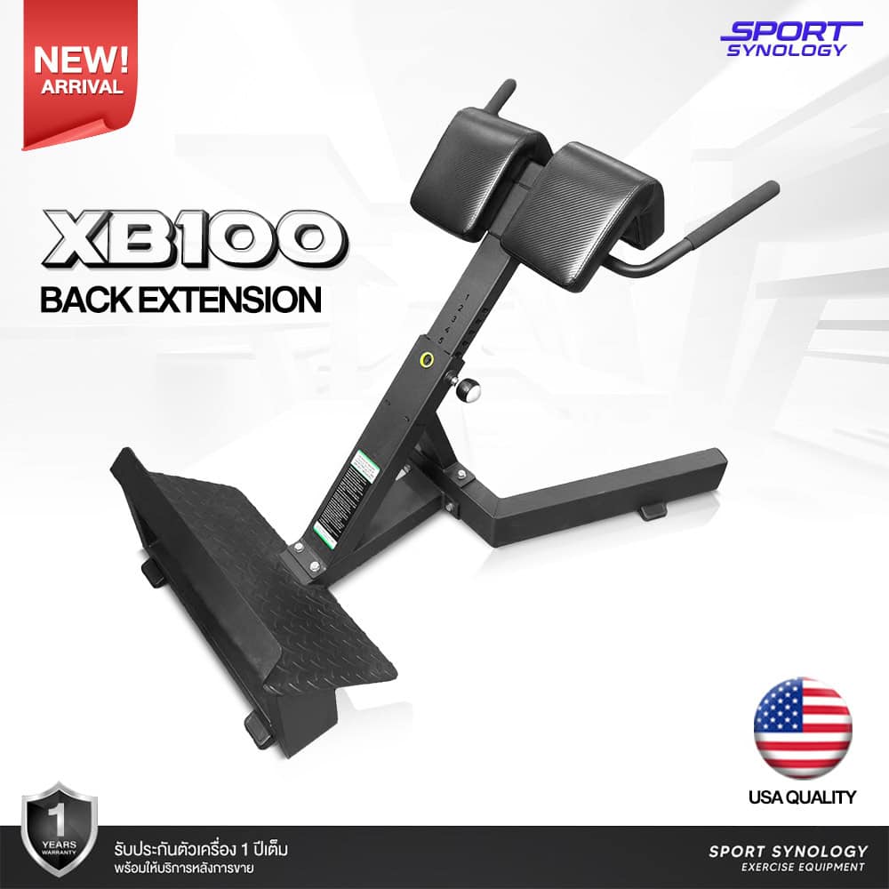 XB100